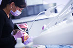 Dentální hygiena BRNO - obrázek 9